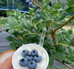 292093788_3779158122224582_1367120064437639511_n