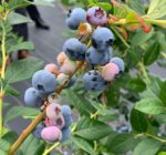 292108207_3779158092224585_3326926237639432507_n