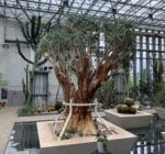 294266925_3791638784309849_7701659360274653884_n