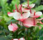 294289393_3791638927643168_7245786765357150024_n