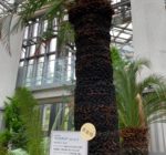 294429339_3791638827643178_3596661463632176617_n