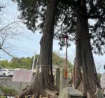 317847065_3913167015490358_4417872788328554156_n