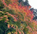 318064678_3913167432156983_5455665374609215523_n