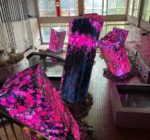 318313282_3913167395490320_3563807784894237037_n