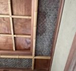 334286424_1340489130068510_4572904585904803591_n