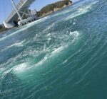 336305367_522195186534451_61666901791373044_n