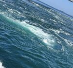 336763394_3320553361590078_6971758029043022297_n