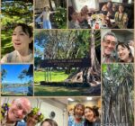 342217010_732480065325314_41145388108113885_n